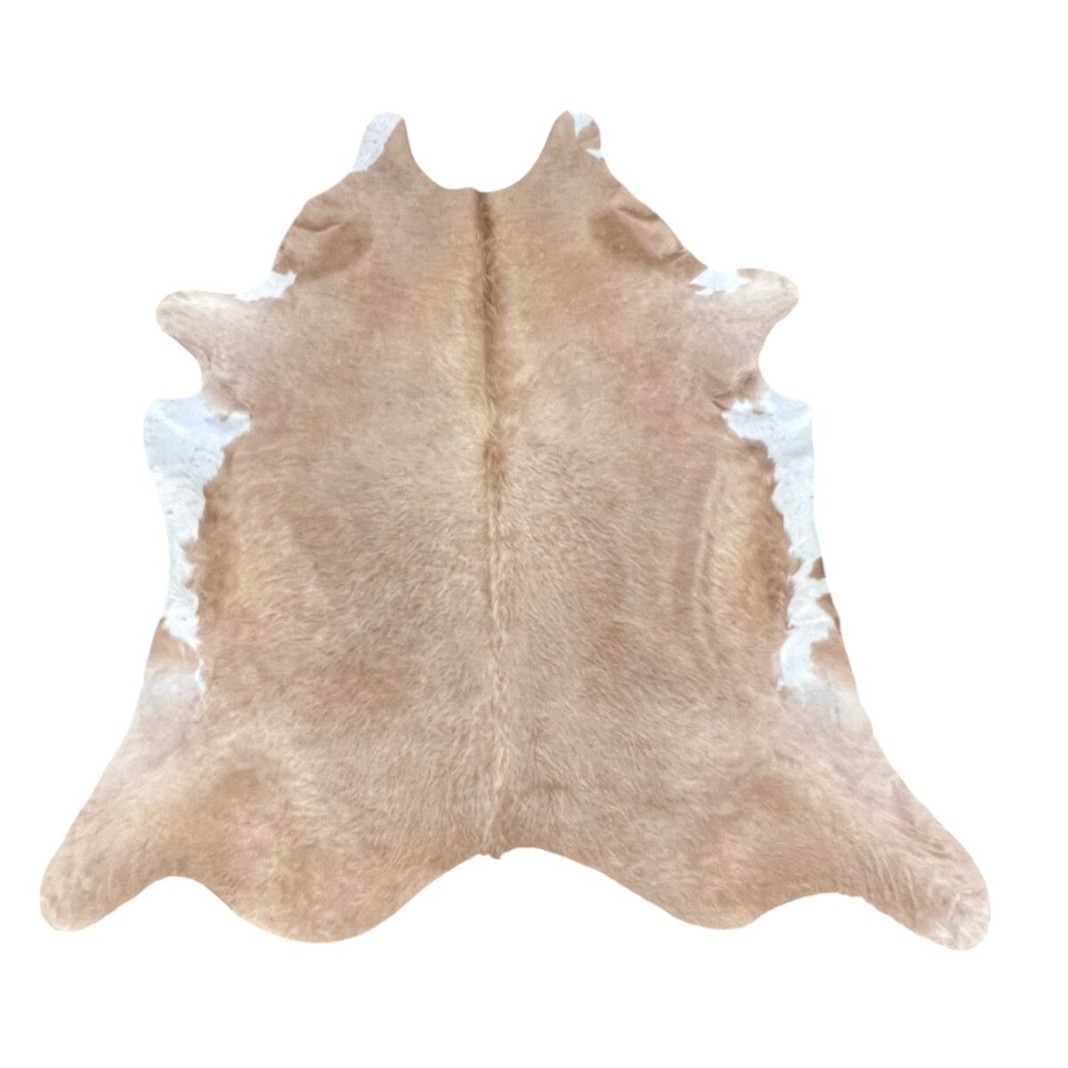 CR-3 Beige & White (127)