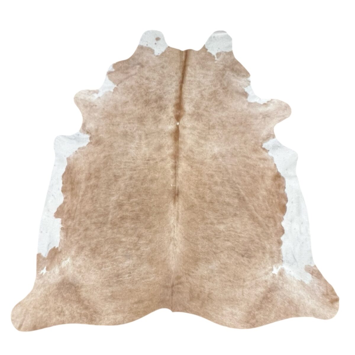CR-3 Beige & White (151)