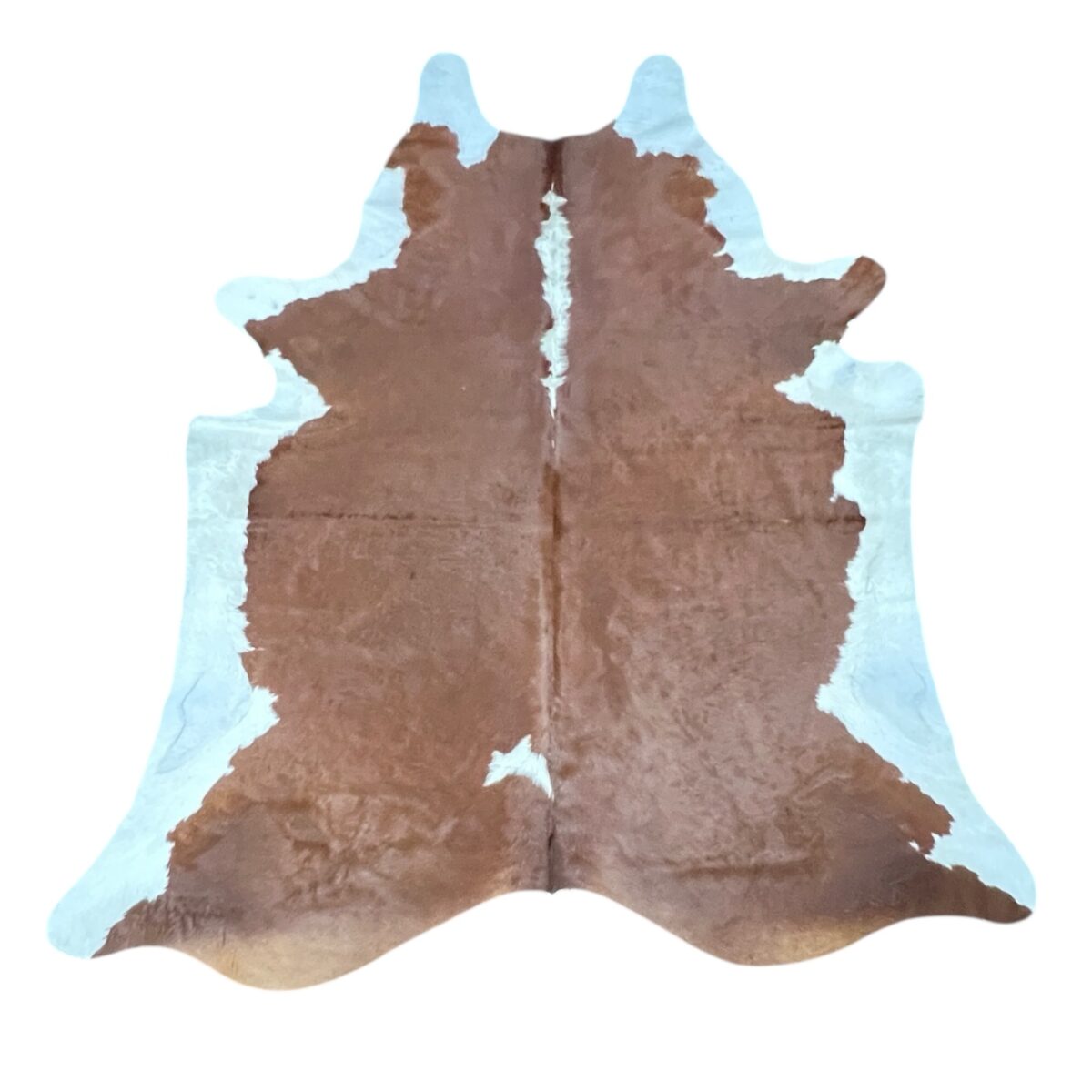 CR-4 Brown & White (252)