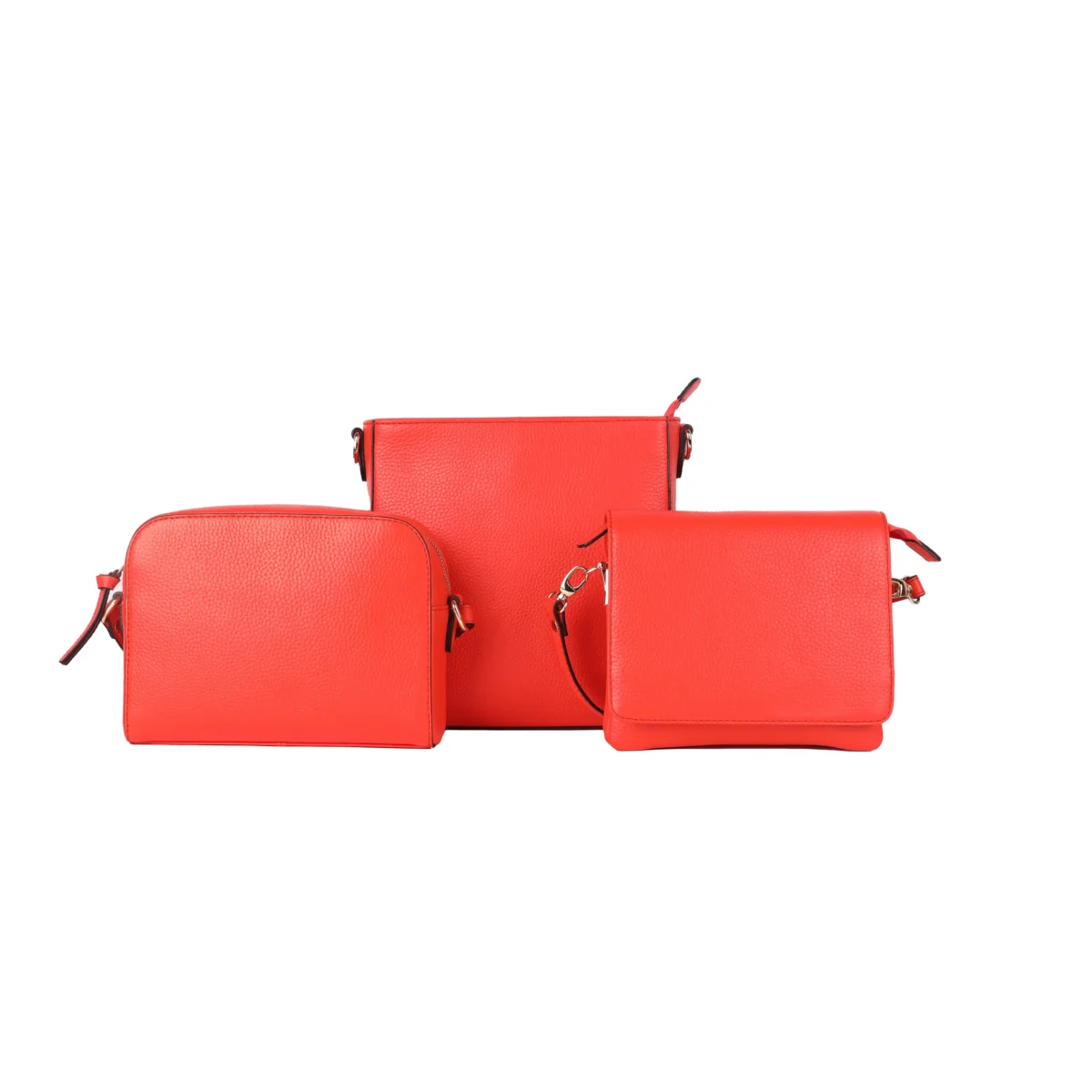 RH-4795 Darwin - Image 20